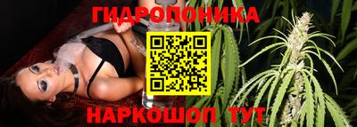 шишки Кунгур