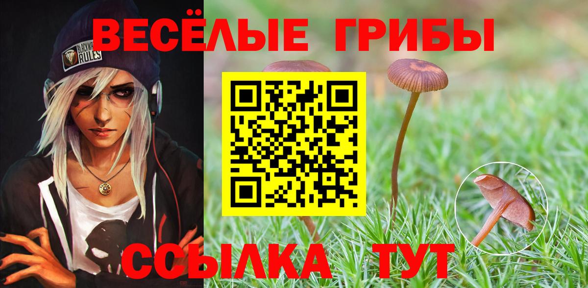 Коломна  Псилоцибиновые грибы Psilocybine cubensis  Вход с VPN  Псилоцибиновые грибы Psilocybe 